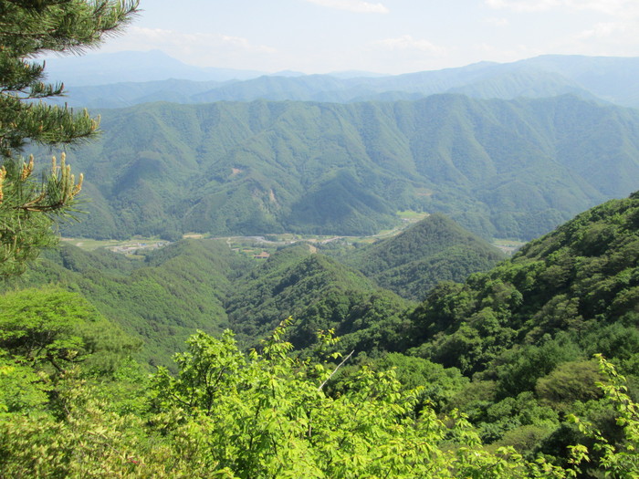 c0140260_06784.jpg