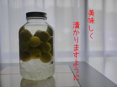 c0210160_19315661.jpg
