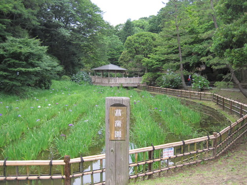 生田緑地のあじさい山 エゴマが 育ちますように ぴきょログ 軽井沢でぐーたら生活