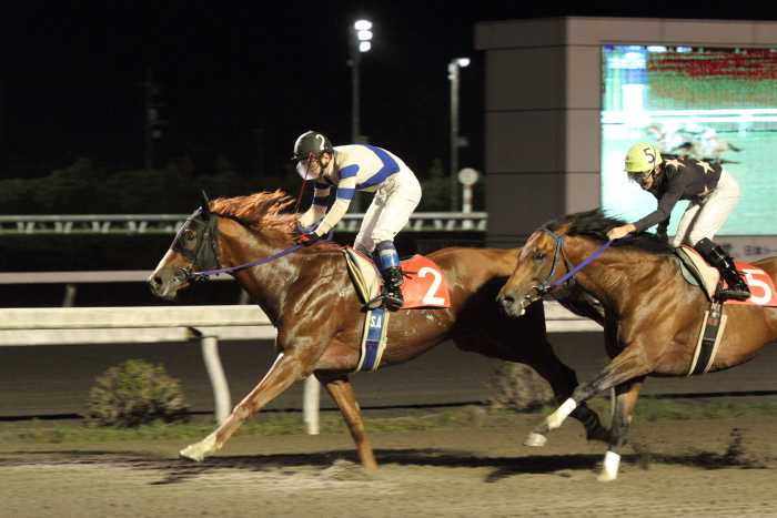 2012年6月23日（土） 高知競馬 9R 四万十町平家の里特別 A-1選抜馬_a0077663_8243273.jpg