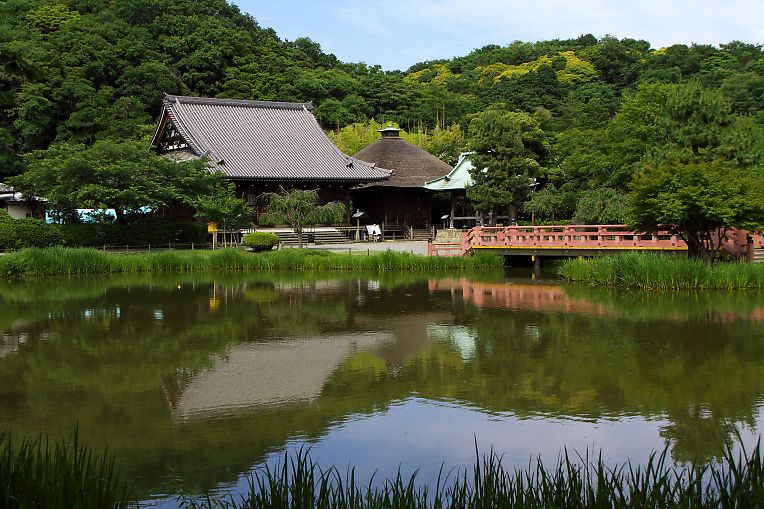 横浜　称名寺(６月１８日）_c0057265_3393062.jpg