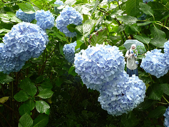 a0119470_1775.jpg