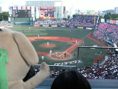 c0158573_13224453.jpg