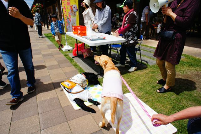 恵庭道の駅での募金活動_c0151076_178196.jpg