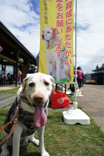 恵庭道の駅での募金活動_c0151076_178207.jpg