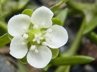 f0083977_2241011.jpg