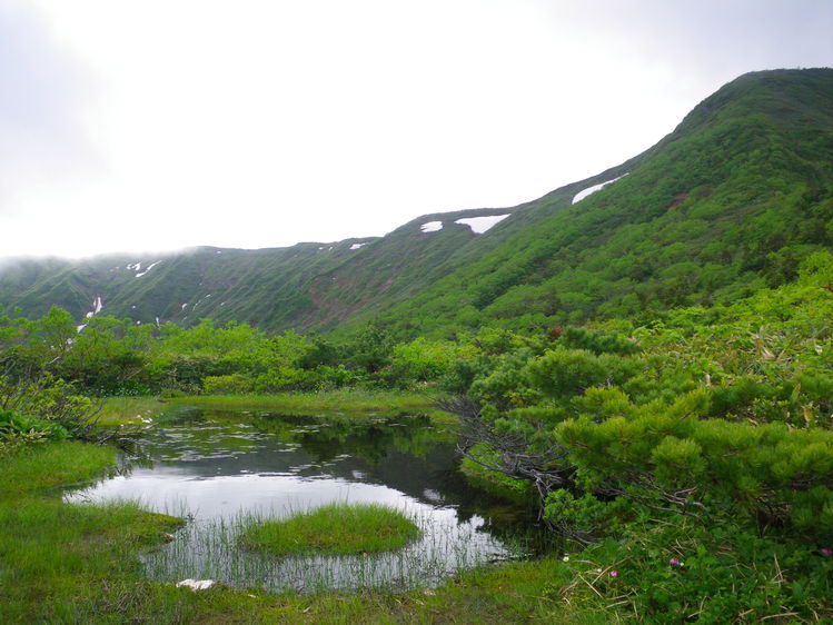 水引入道コースからの南蔵王周回 ～ ２０１２年６月２３日_f0170180_18532890.jpg