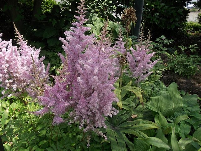 c0212083_2241813.jpg
