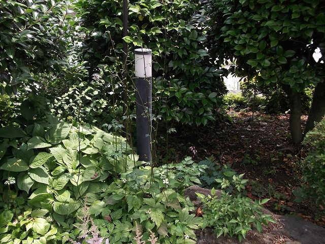 c0212083_225191.jpg