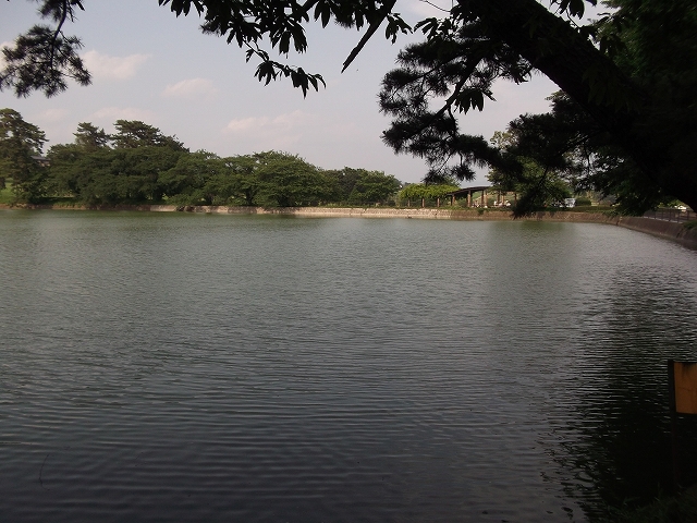 c0212083_231597.jpg