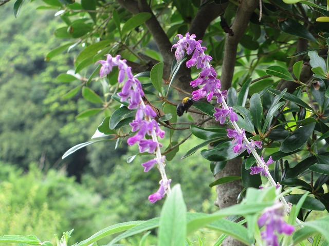 b0182884_12591216.jpg