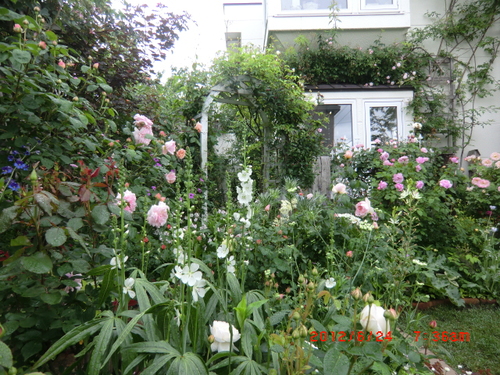 c0078586_904920.jpg