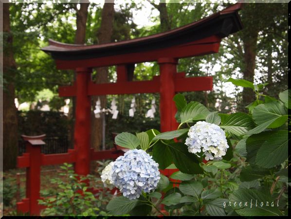 うさぎ神社♪_b0040888_23245187.jpg