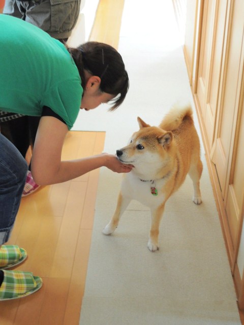 いらっしゃいませ!_a0126590_23463938.jpg