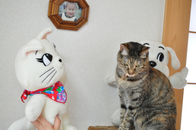 いらっしゃいませ!_a0126590_2353254.jpg