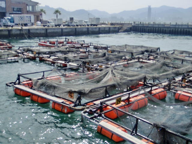 d0181492_23233679.jpg