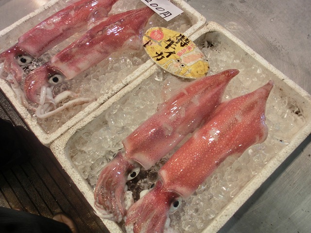 d0181492_23244299.jpg