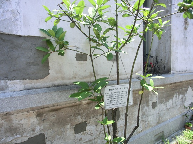 d0181492_23435252.jpg