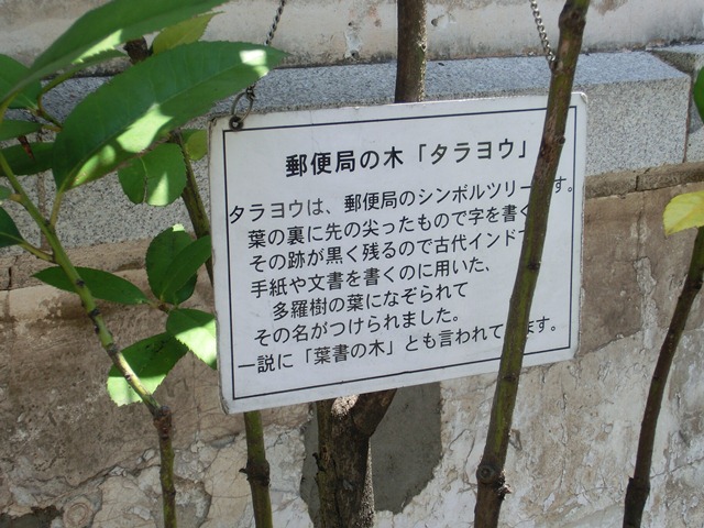 下関を訪ねて③・・・水産王国下関、明治維新と下関、下関の発展を調査③_d0181492_23444786.jpg