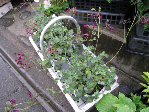 e0260793_030175.jpg
