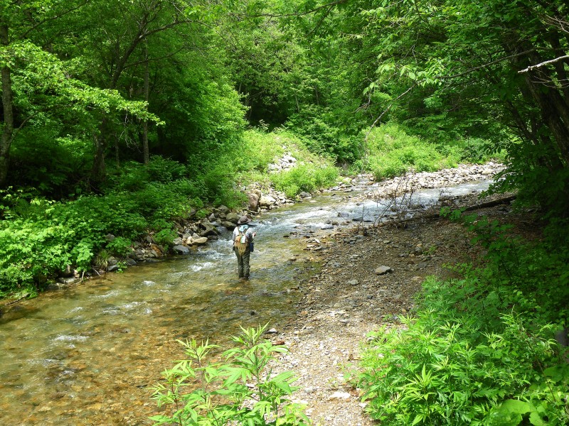 f0129994_16203827.jpg