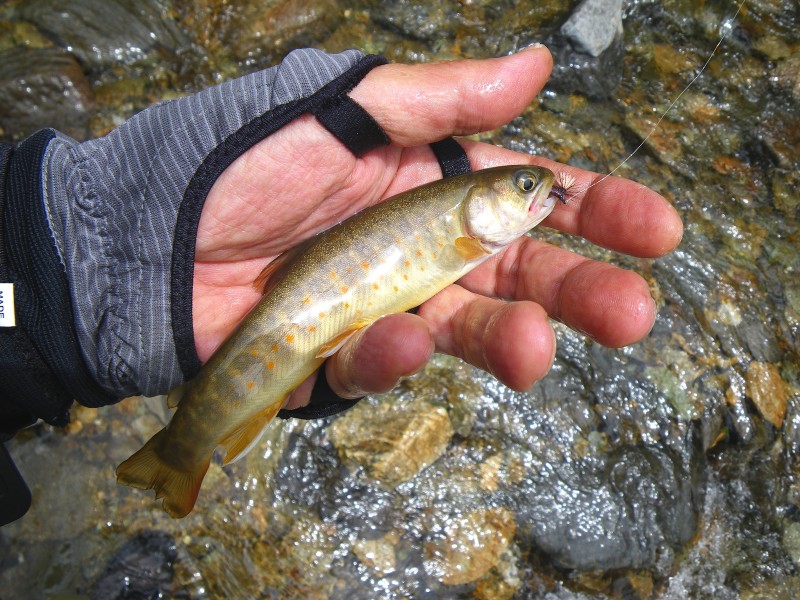 f0129994_16283887.jpg