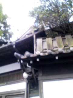 c0201895_1446626.jpg