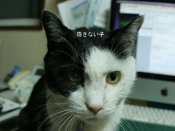 d0071596_16422348.jpg