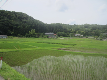 拉麺　一張羅(いっちょうらい)　26_a0117599_2234529.jpg