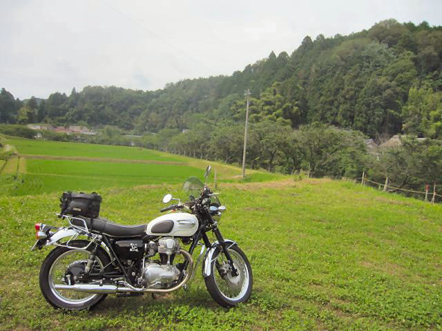 f0221699_20314215.jpg