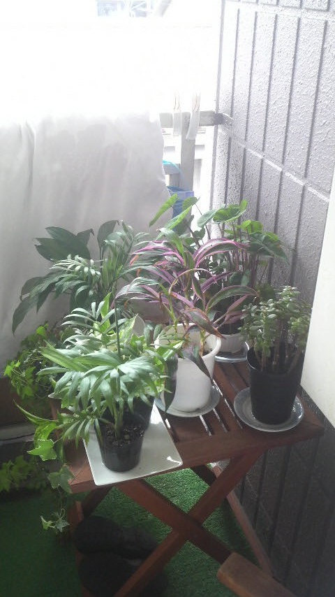 c0114000_11504217.jpg