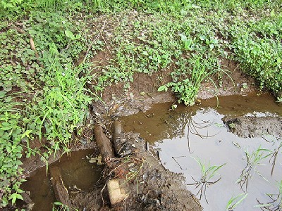 e0270403_1532255.jpg