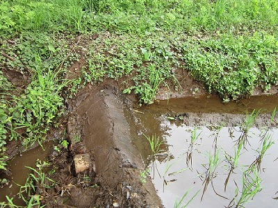 e0270403_154091.jpg