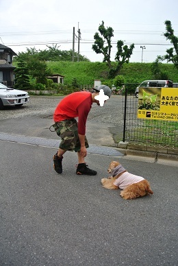 お兄ちゃんが　遊んでくれたんだよ♪_a0134004_0182311.jpg