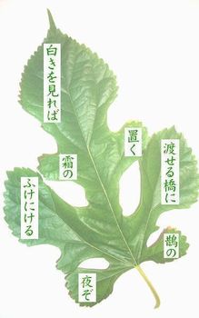 短冊　七葉 短冊 七葉 Amazon.co.jp: タカ印 七夕用品 穴あき短冊 100枚入