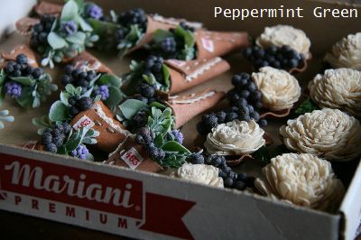 Peppermint Greenです。_d0256505_18444775.jpg