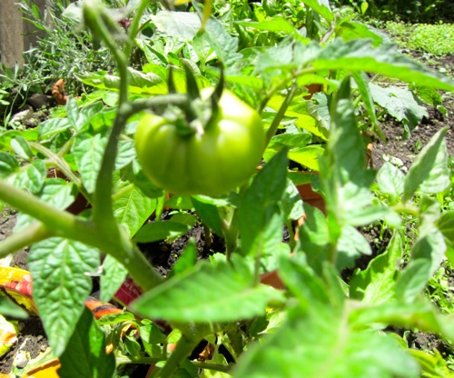 d0135907_20211059.jpg