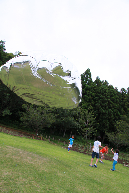 <にわのわ>(2)佐々倉文_f0155808_14545163.jpg