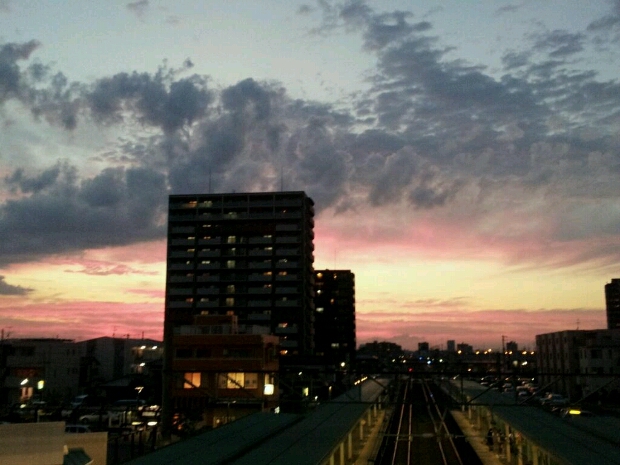 b0160312_647753.jpg