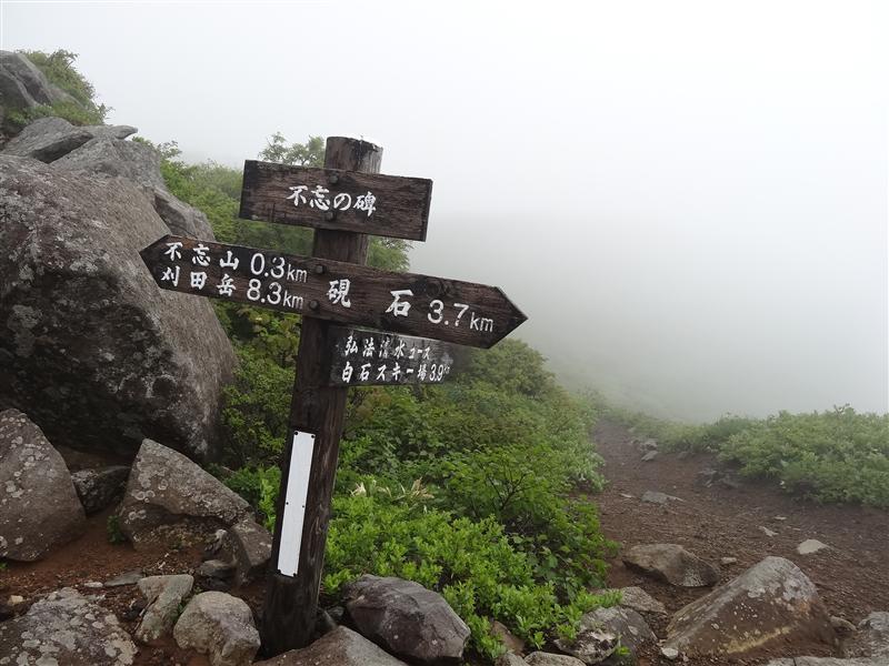 a0127015_2191444.jpg