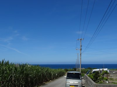 f0178416_14581916.jpg