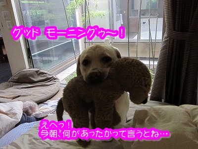 ザック、幸せな朝~♪_e0192217_8374959.jpg