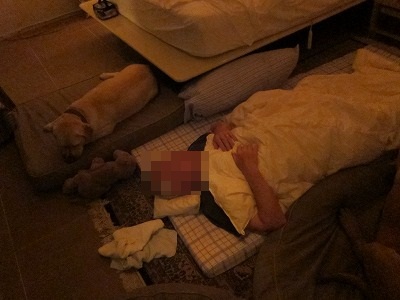 ザック、幸せな朝~♪_e0192217_853146.jpg