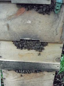 f0232920_16561079.gif