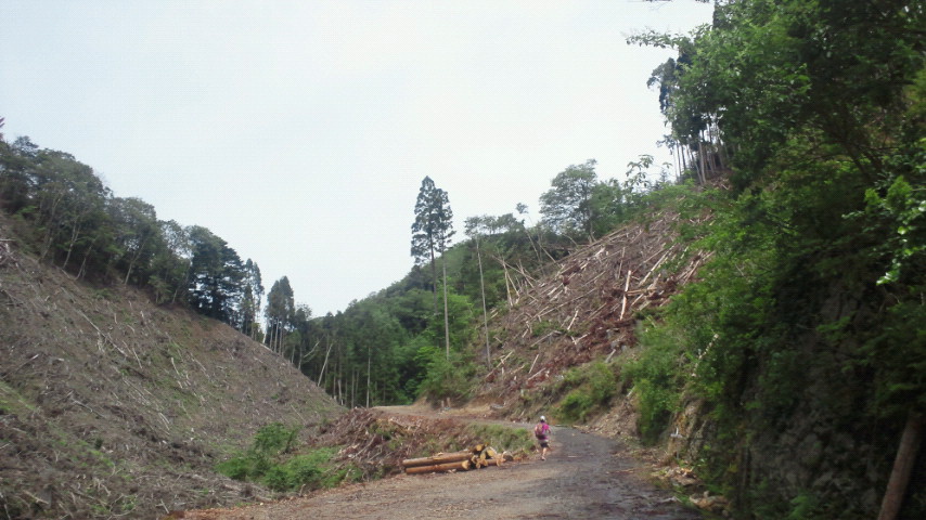 青谷道場は厳しかった！　京都北山辺り編_a0036424_1017386.jpg