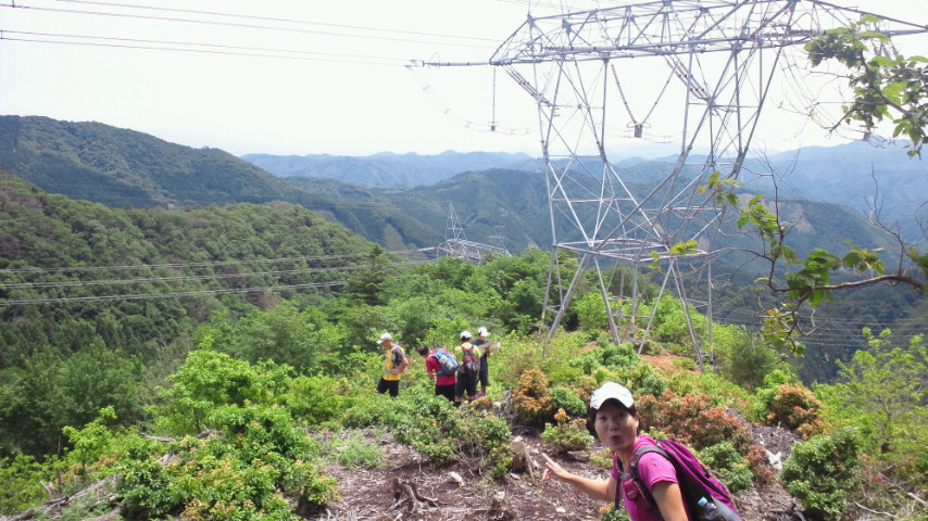 青谷道場は厳しかった！　京都北山辺り編_a0036424_11535395.jpg