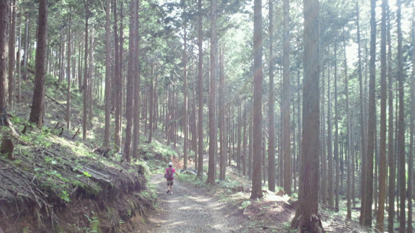 青谷道場は厳しかった！　京都北山辺り編_a0036424_1218569.jpg