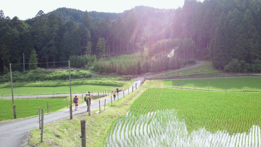 青谷道場は厳しかった！　京都北山辺り編_a0036424_12192593.jpg