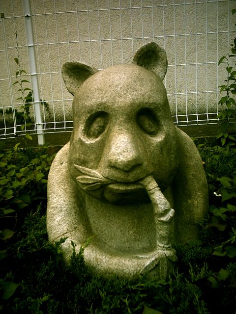 怖いパンダ ぴよどらカメラ堂