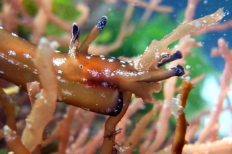 b0044726_8275328.jpg